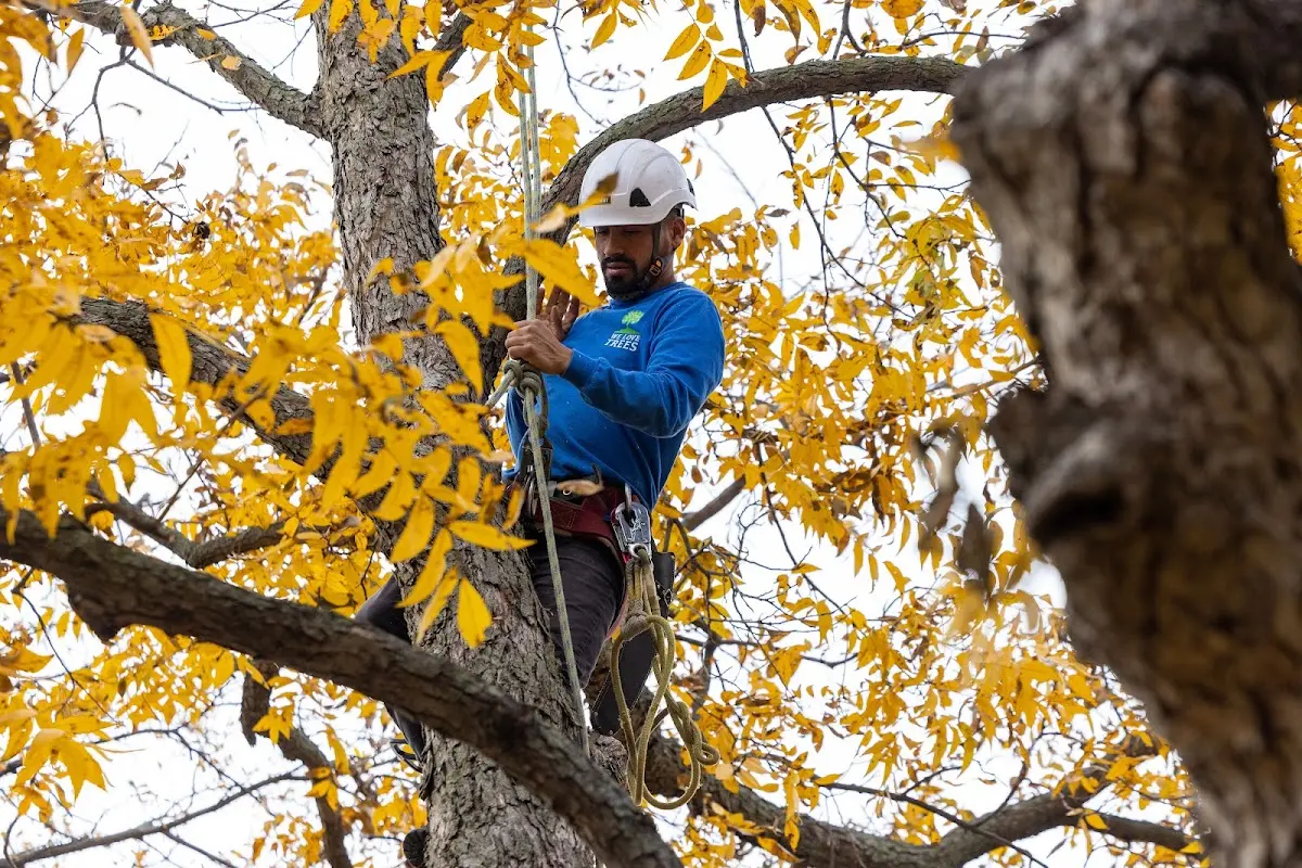 Skilled Storm Damage Cleanup crew working in Wakarusa